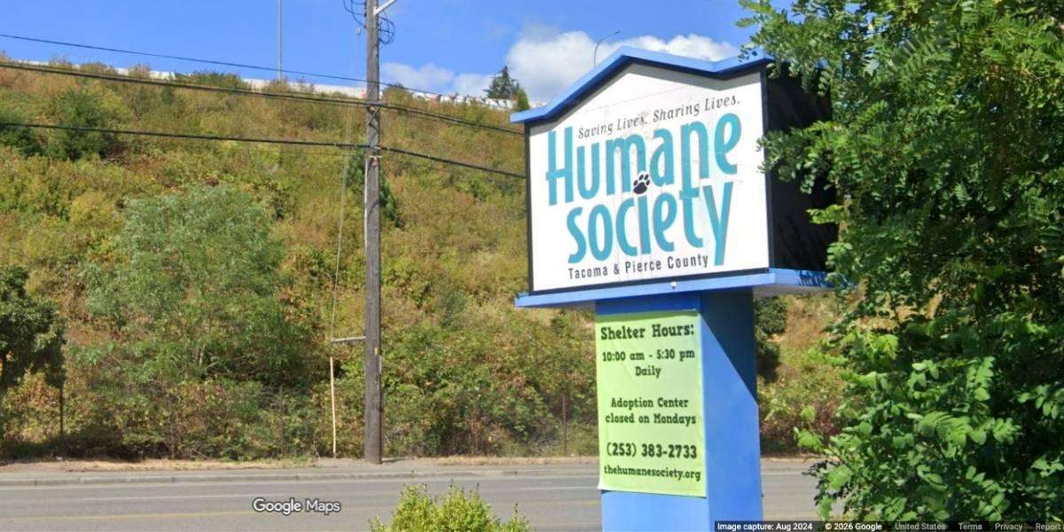 image for ‘Adopt Me’ Dog Kills Pet At Tacoma Marathon