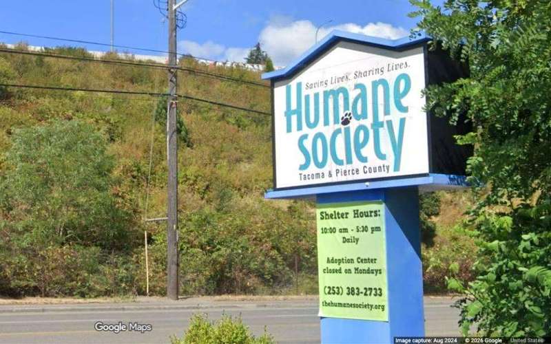 image for ‘Adopt Me’ Dog Kills Pet At Tacoma Marathon