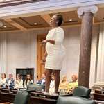 image for Tennessee State Senator London Lamar protests during TN’s special session