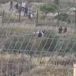 image for Israel settlers and IDF soldiers force Palestinians to exhume and relocate a buried Palestinian body