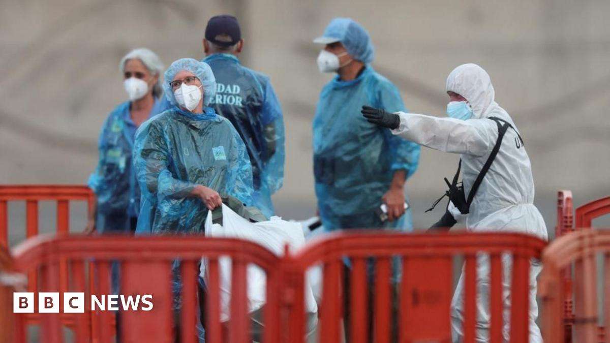 image for US and French nationals test positive for hantavirus after leaving ship