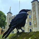 image for [OC] Tower Of London