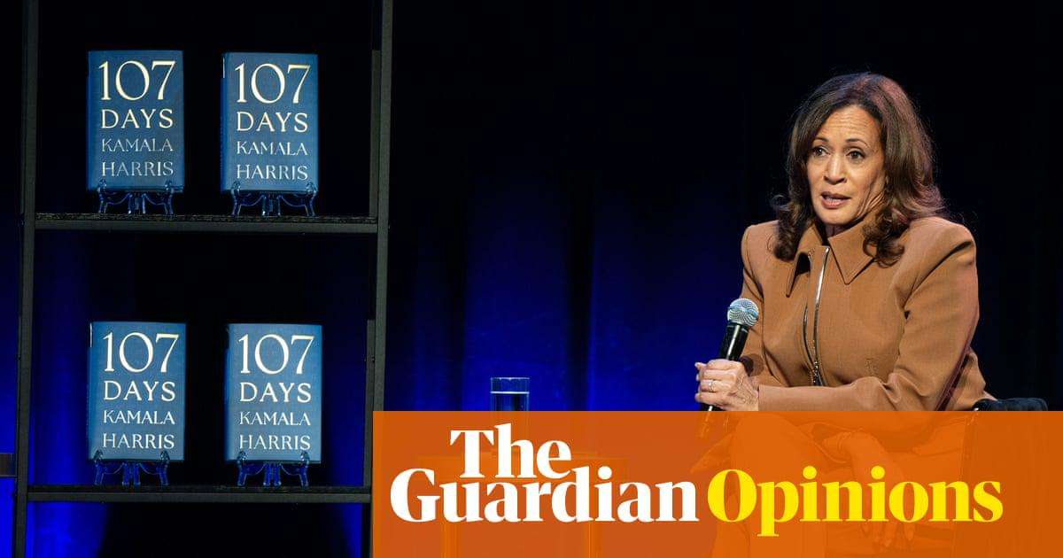 image for Why is the Democratic party still hiding its 2024 election autopsy? | Norman Solomon
