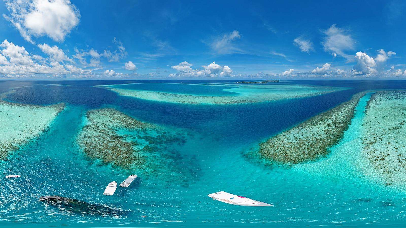 image for Maldives military diver dies while trying to recover scuba diving victims in underwater cave: Officials
