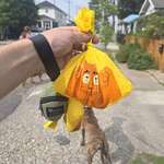 image for Picking up poop has never felt better