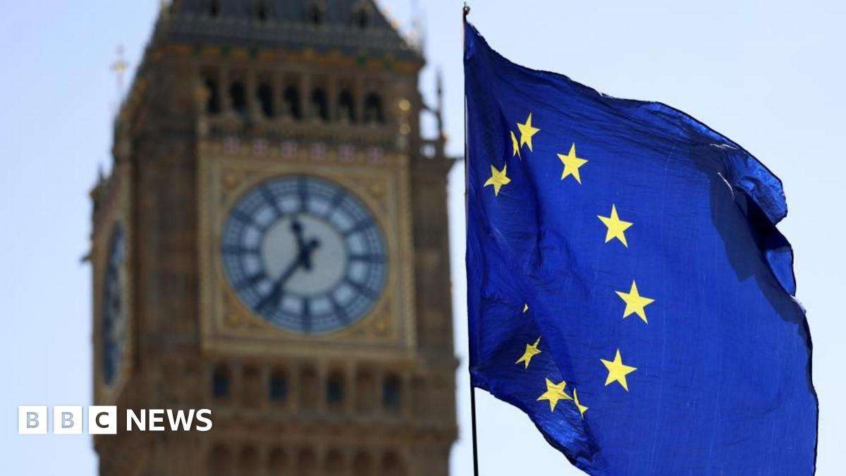 image for UK officials suggested single market for goods with Europe