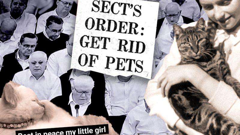 image for Exclusive Brethren pet ban order sparks fears of global cull in sect, The Plymouth Brethren Christian Church