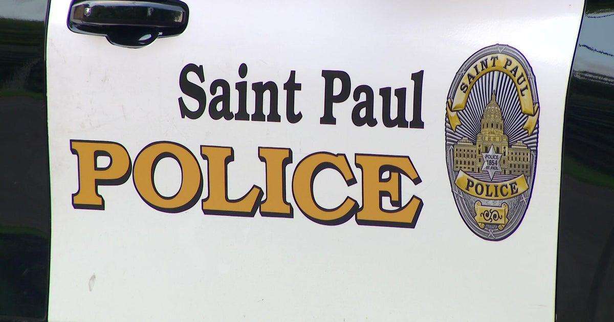 image for Toddler pulled loaded gun from diaper bag during St. Paul traffic stop, charges say