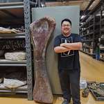image for (OC) Bones found by Thai villager belong to 27m Nagatitan dinosaur