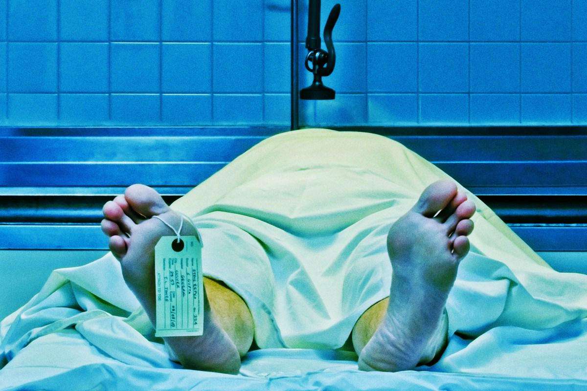 image for Trump Says a New Drug Can Bring Dead People Back to Life