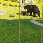 image for I passed on mowing the lawn