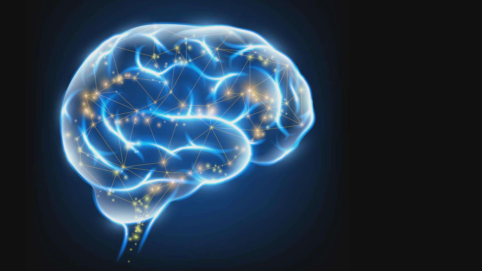 image for Scientists create supercharged vitamin K that helps the brain heal itself