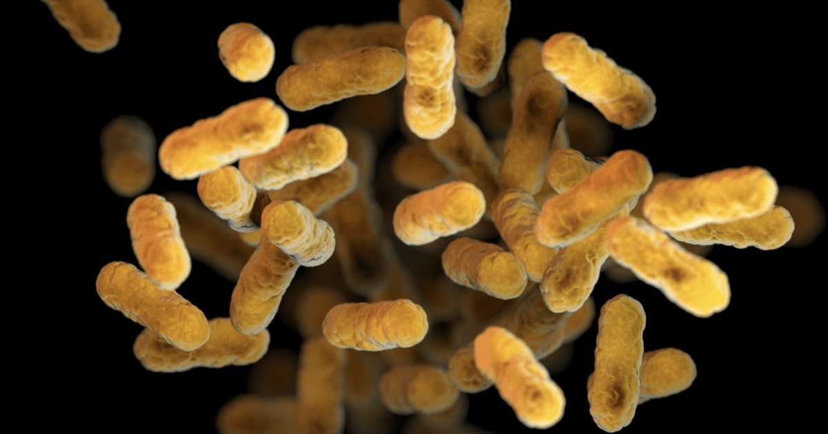 image for Colorado sees increase in whooping cough cases after dropping to pandemic-era lows