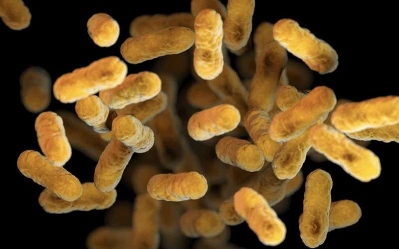 image for Colorado sees increase in whooping cough cases after dropping to pandemic-era lows