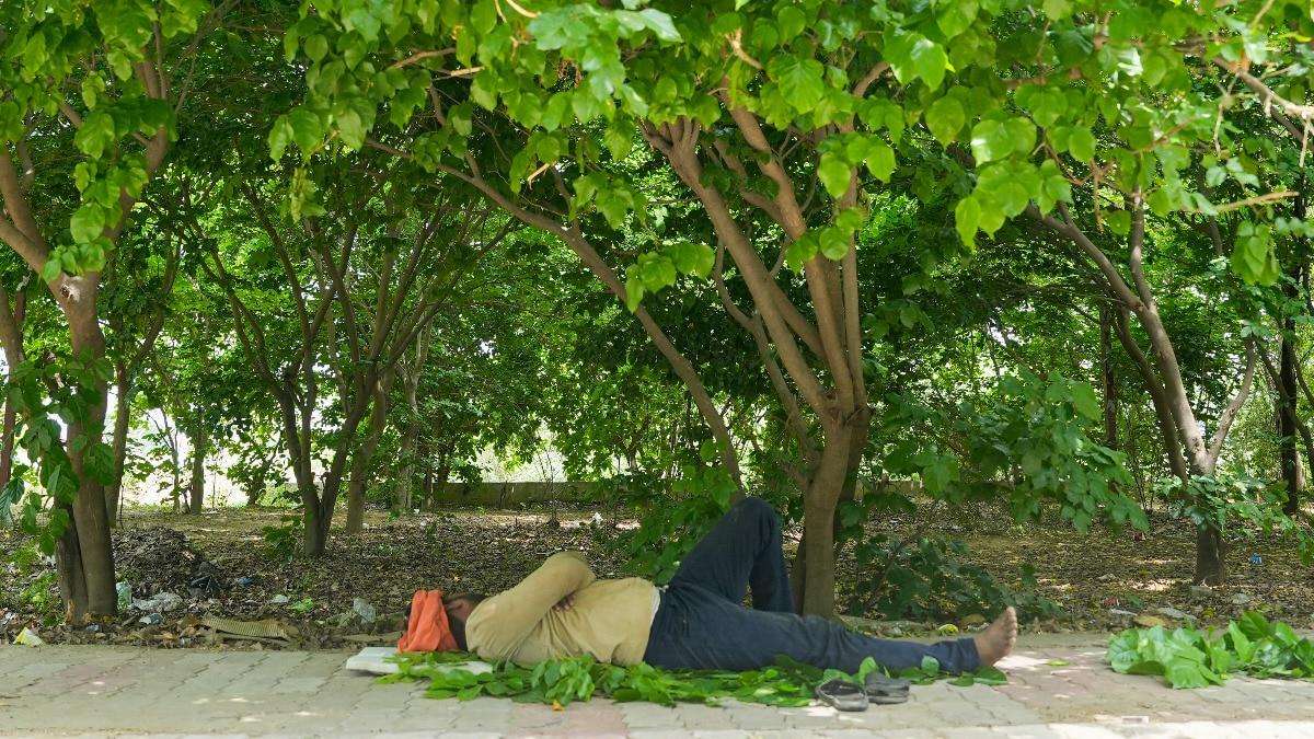 image for 3,400 deaths in a day: India's extreme heat days are deadlier than we imagined