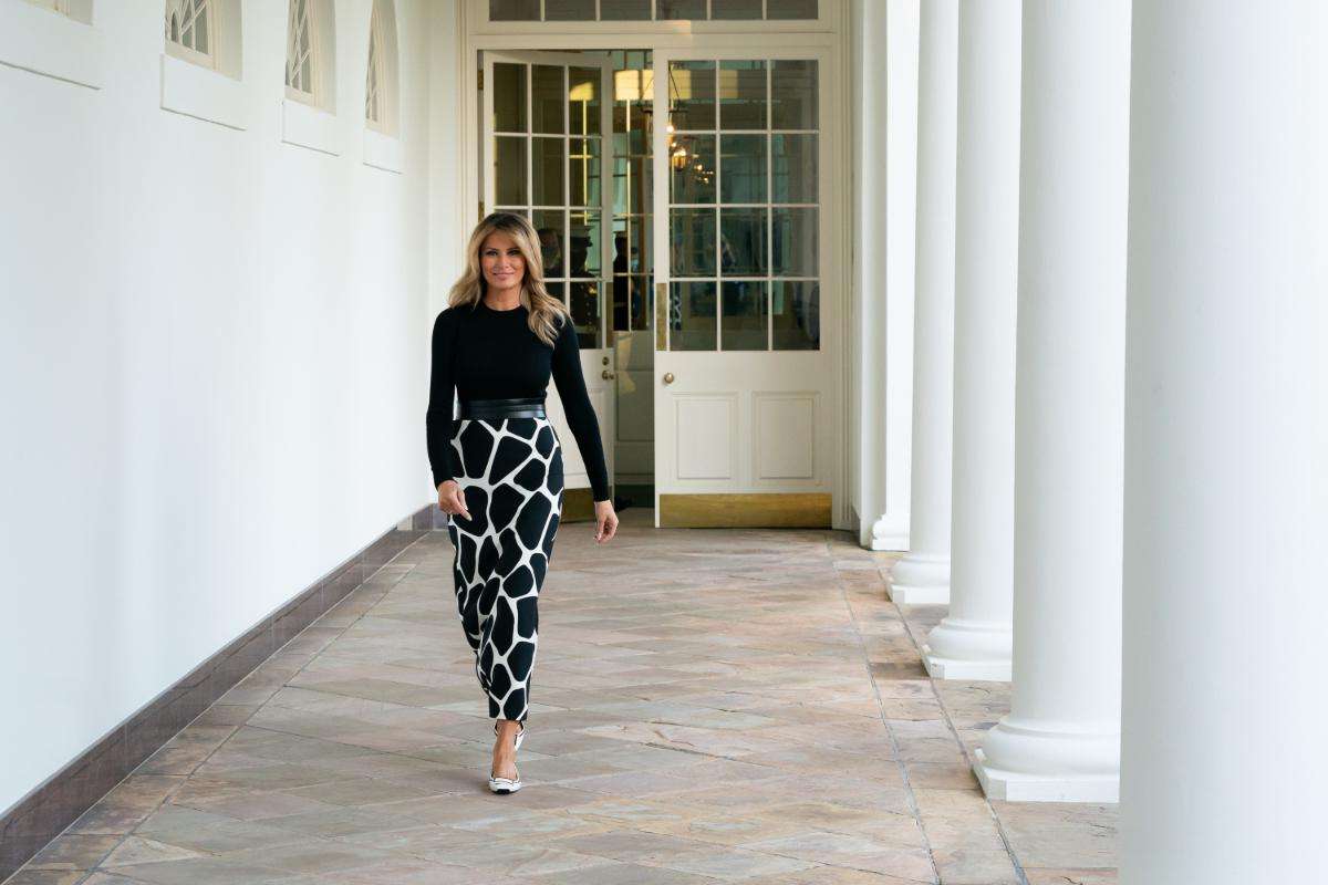 image for ‘It was Jeffrey Epstein’ who introduced Melania to Trump, ex-model claims