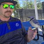image for [OC] I had a Bluejay visit me today