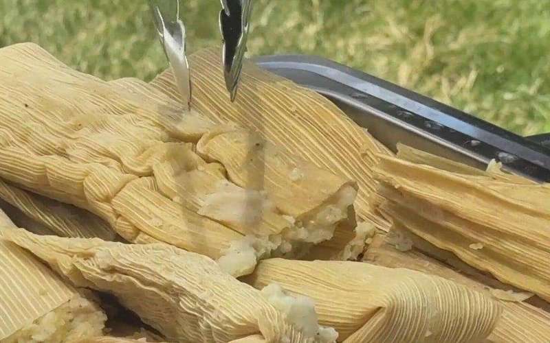 image for Tamale Act signed into law, giving Coloradans a chance to sell homemade food