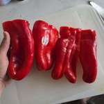 image for Bell peppers were on sale for 99 cents each and I found these absolute monsters.