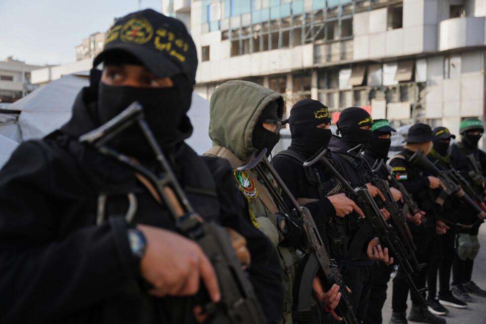 image for Militants and police executed and maimed dozens of Palestinians in Gaza, UN report says