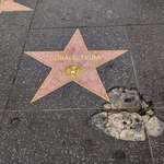 image for [OC] Hollywood's most frequently damaged star