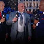 image for Size of the tie that Joe Rogan is wearing