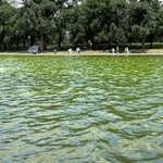 image for The reflecting pool on the National Mall looks super green today (6/15/26)