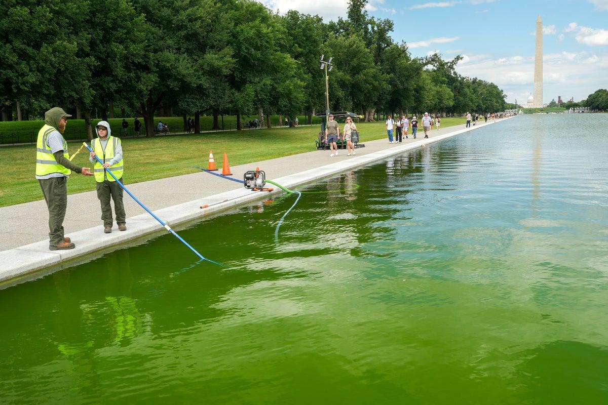 image for Trump administration blames Obama after ‘blue’ Reflecting Pool turns green after $14M refurb