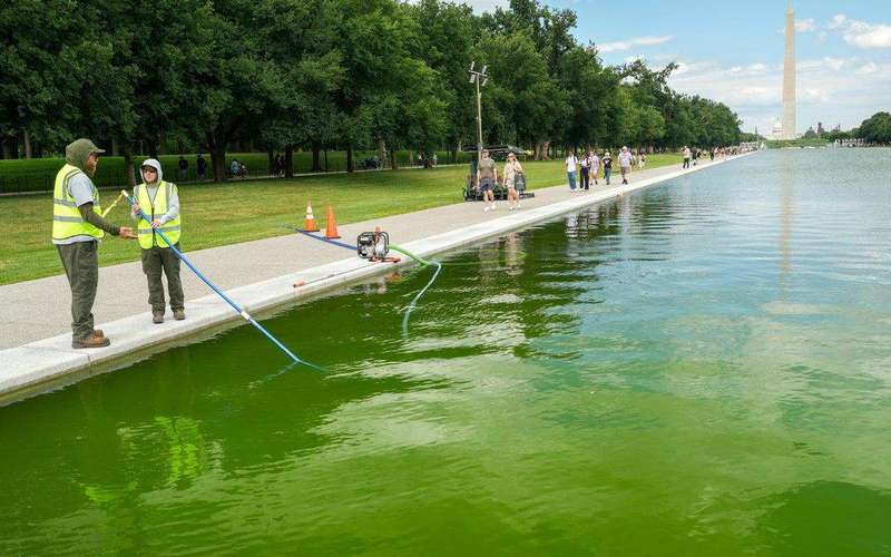 image for Trump administration blames Obama after ‘blue’ Reflecting Pool turns green after $14M refurb