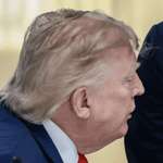 image for looking very alive and normal sir!