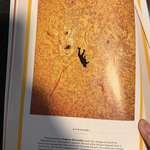 image for [OC] I just achieved a lifelong dream of being featured in National Geographic magazine!