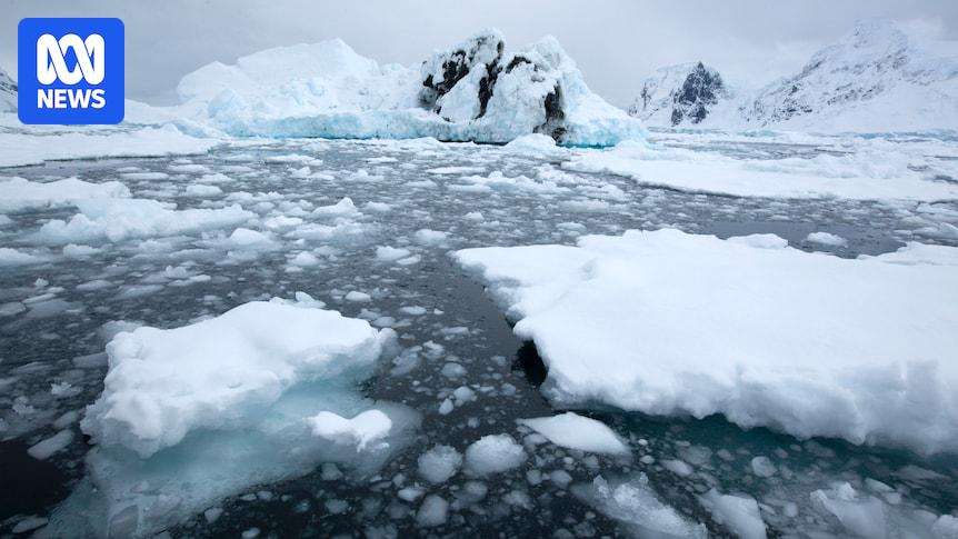 image for US accused of trying to 'edit out' climate change in Antarctic report