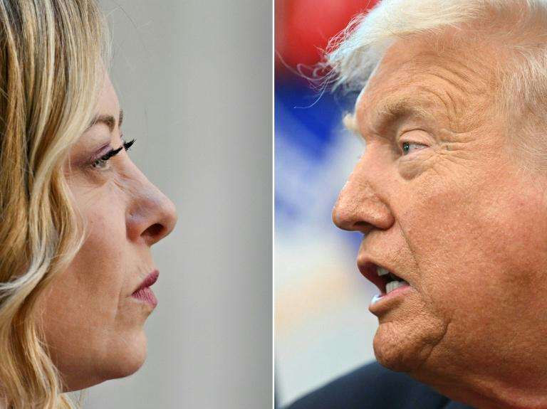 image for Outrage in Italy after Trump says Meloni 'begged' for photo op