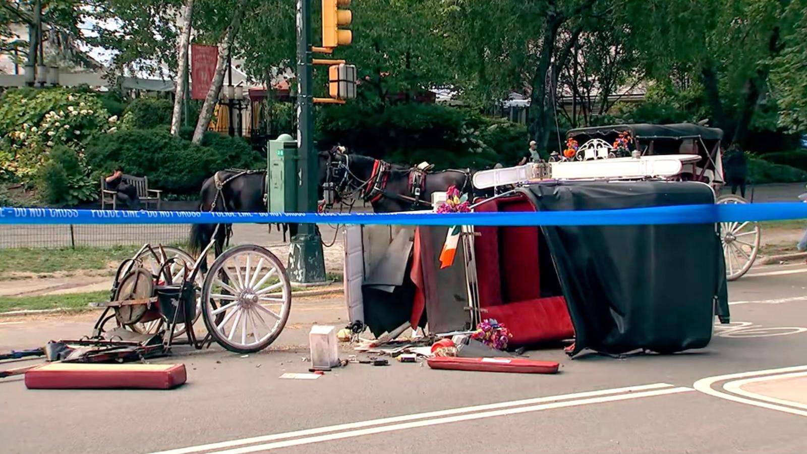 image for Central Park horse carriage rides temporarily suspended following death of 18-year-old tourist