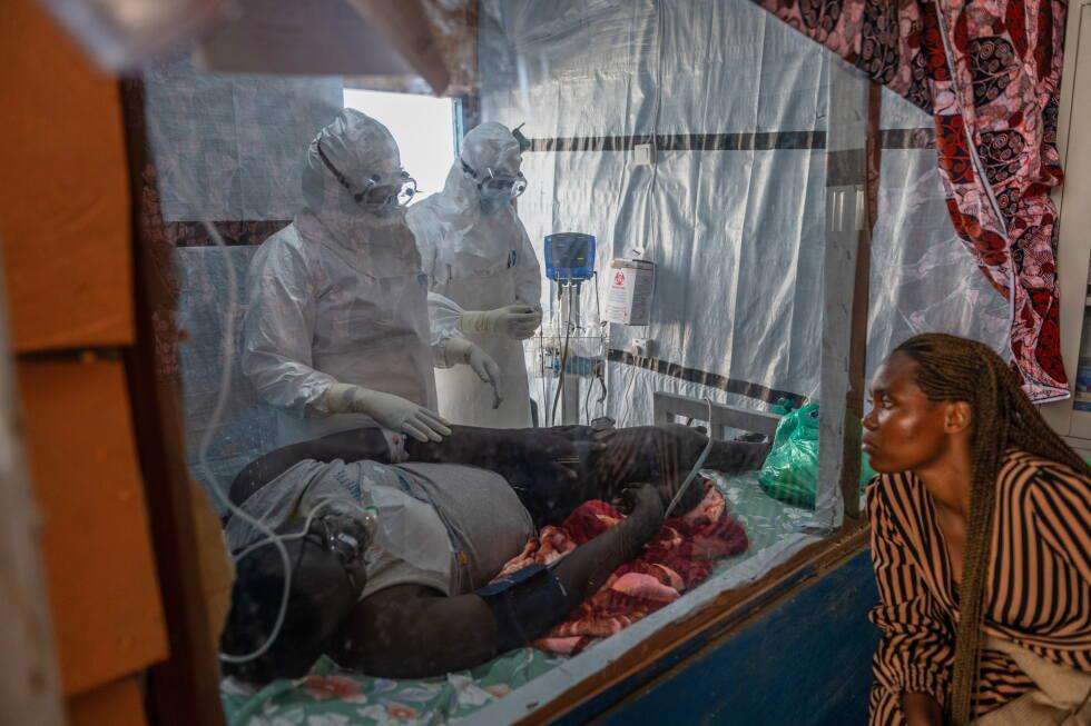 image for Ebola cases increase almost 40% in a week as death toll passes 200