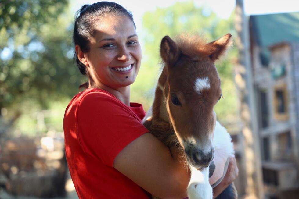 image for A month-old pony moves to a 4th-floor apartment in Croatia. Neighbors don’t mind