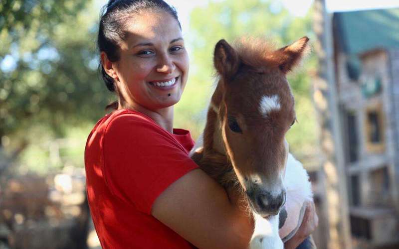 image for A month-old pony moves to a 4th-floor apartment in Croatia. Neighbors don’t mind