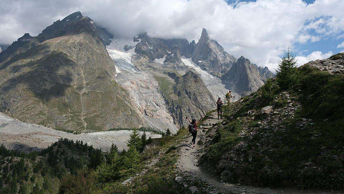 image for France adds 157,000 hectares of protected forest as nature preserves face pressure elsewhere