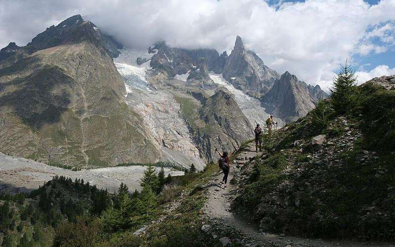 image for France adds 157,000 hectares of protected forest as nature preserves face pressure elsewhere