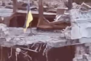 image for 