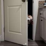 image for Can’t even poop without my supervisor checking in