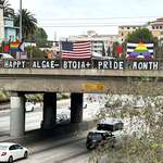 image for [OC] HAPPY ALGAE-BTQIA+ PRIDE MONTH (Los Angeles)