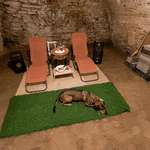 image for [OC] Escaping the summer heatwave. My dog and I moved our living room into a 300-year-old Transylvan