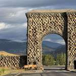 image for Elk at Roosevelt Arch in Yellowstone National Park [OC]
