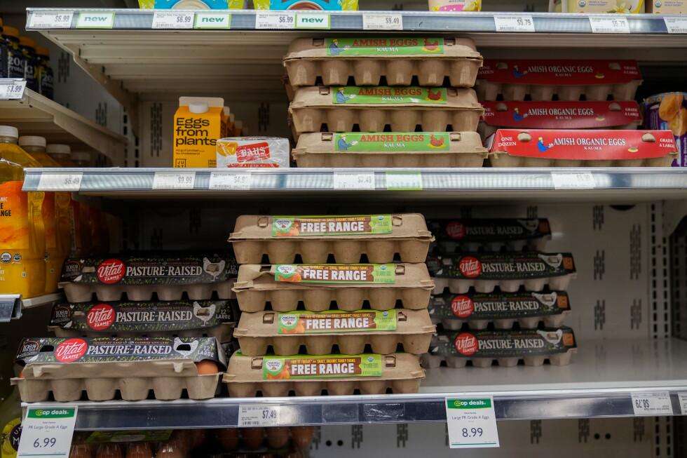 image for Egg producers will pay $3.3M and donate 53 million eggs to settle price-fixing claims