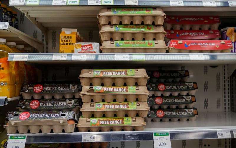 image for Egg producers will pay $3.3M and donate 53 million eggs to settle price-fixing claims