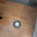 image for My dog passed a few days ago. So sad seeing just her water bowl there.