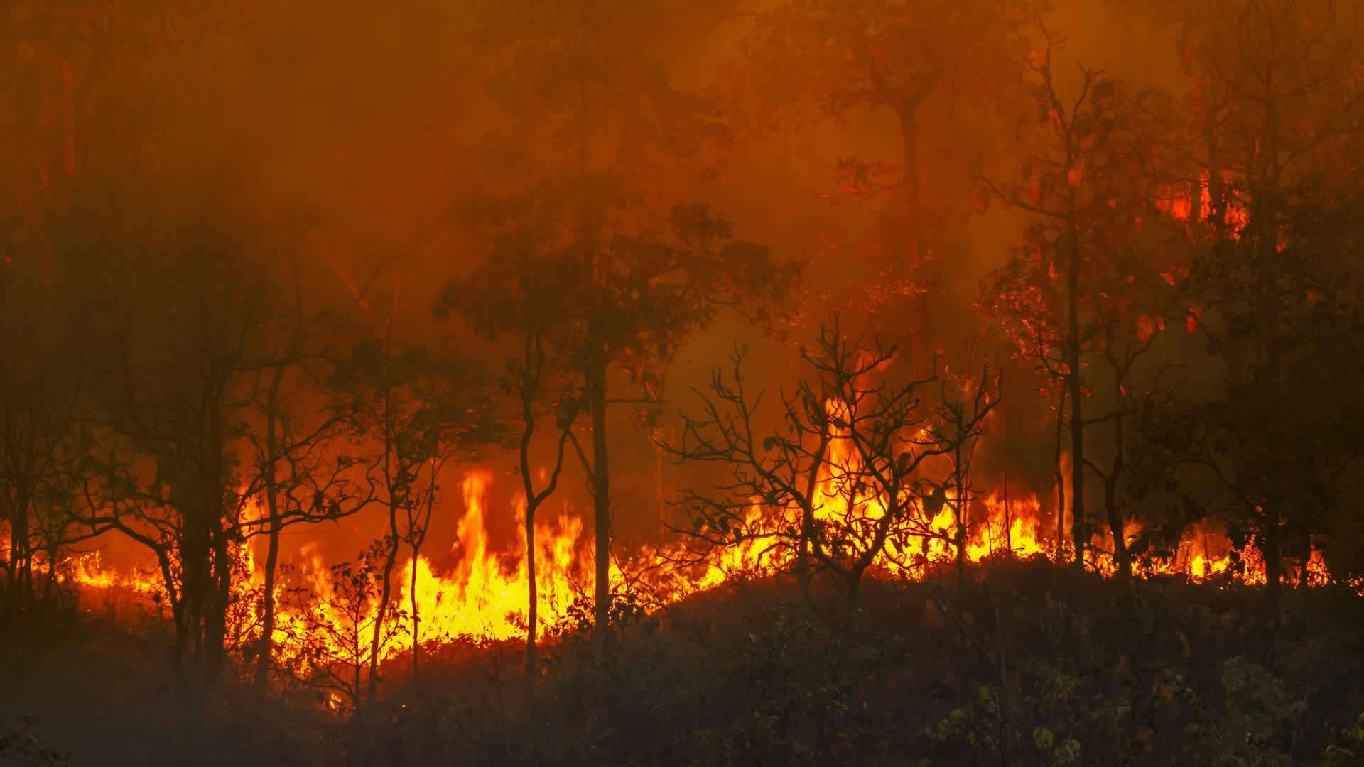 image for Southern California wildfire betting site sparks arson fears as blazes spread