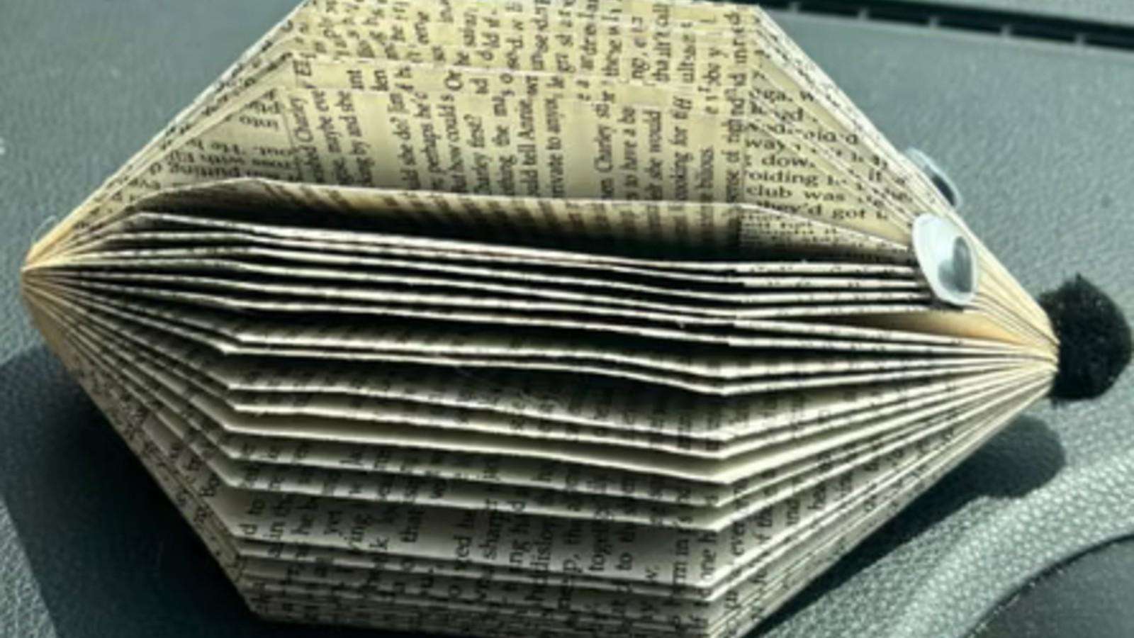 image for Police investigate after children’s paper hedgehogs found to be made from erotic novel