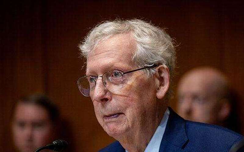 image for Laura Loomer, Reporter Claim Hospitalized Mitch McConnell 'Brain Dead'